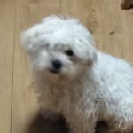 Adam Brummell - @adam_brummell_256 - Instagram