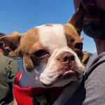Adam Buckmaster - @oldmanbuckmaster - Instagram