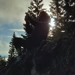 Adam Bugaj - @vandambugy - Instagram