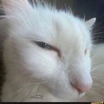 @adam._.bunn - Instagram