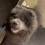 Adam Bunn - @itss_adam69 - Instagram