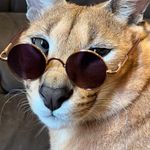 Adam Bunn - @numba_one_bunna - Instagram