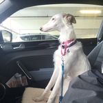 Adam Burke - @toomnybugs - Instagram