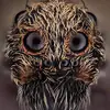 Adam B - @adam_burley - TikTok