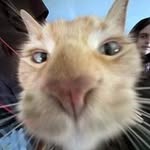 Adam Burley - @adam.burley.56 - Instagram