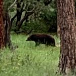 Adam - @adam_busby - Instagram