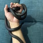 Adam Amir's - @adambyamir - Instagram
