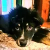 Adam Bye - @adam.bye6 - TikTok