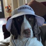 Adam Byrd - @adamrossbyrd - Instagram