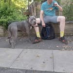 Adam Byrom - @adambyrom6 - Instagram
