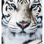 Adam Cabell - @adam.cabell.52 - Instagram