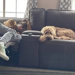 Adam Cagle - @4dam_cagl3 - Instagram
