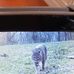 Adam Caldwell - Facebook