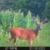 Adam Calhoon - Facebook