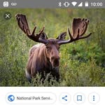 Adam Patrick callaghan - @adampatrickcallaghan - Instagram