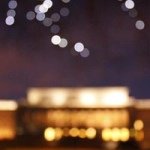 Adam Amelchenko - @adamcamel - Instagram