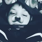Adam Camel - @captincamel20 - Instagram
