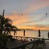 adam - @.adamcampbell - TikTok