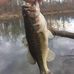 Adam Camp - Facebook