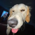 Adam Cantwell - @adamcantwell796 - Instagram