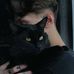 Adam Capitano - Facebook
