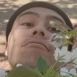 Adam Caple - @shaved.ape - Instagram
