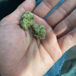 Adam Caputo - @caputo8273 - Instagram