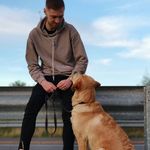 Adam Carless - @adamcarless_ - Instagram