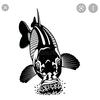 Adam...CARP - @adam...carp - TikTok