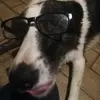 Adam Carty - @adamc22649 - TikTok