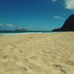 Adam Casas - @vivalaplaga - Instagram