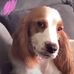 Adam Smith P. Casas - Facebook