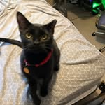 Adam Cate - @adamcate3 - Instagram