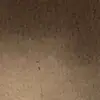 adamcate03 - @adamcate03 - TikTok