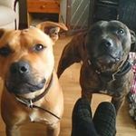 Adam Chalmers - @adam.chalmers.73157 - Instagram