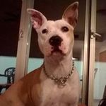 Adam Chambers - @adam.chambers.7796 - Instagram