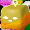 adamcheeseman_22 - @adamcheeseman_22 - TikTok