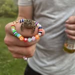 Adam Chilton - @ajchily - Instagram