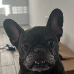 Adam Cleaver - @cleaver.adamlv - Instagram
