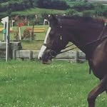 Adam Cleaver - @cleaver_adam - Instagram