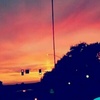 Adam Lenning - @adam.lenning - TikTok