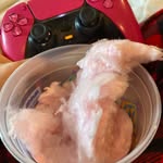 Adam colwell - @colwell8212 - Instagram