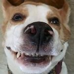 Adam Colwell - @cornishkraken - Instagram