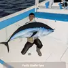 fish - @adamcomer735 - TikTok
