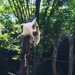 Adam Cormier - @adamcormier23 - Instagram