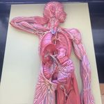 Adam Corriveau - @corriveauamc - Instagram