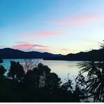 Adam Cotter - @point1percenter - Instagram
