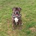 Adam Cotton - Facebook