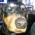 Adam Covert - Facebook