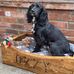 Adam Coates - Facebook